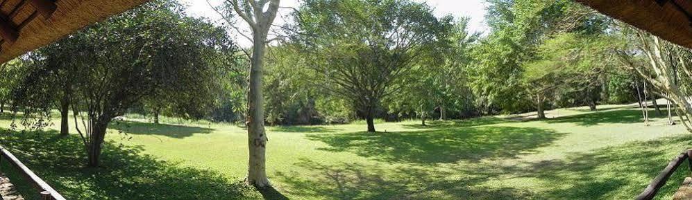 Kwambali Riverside Lodge Hazyview Eksteriør bilde